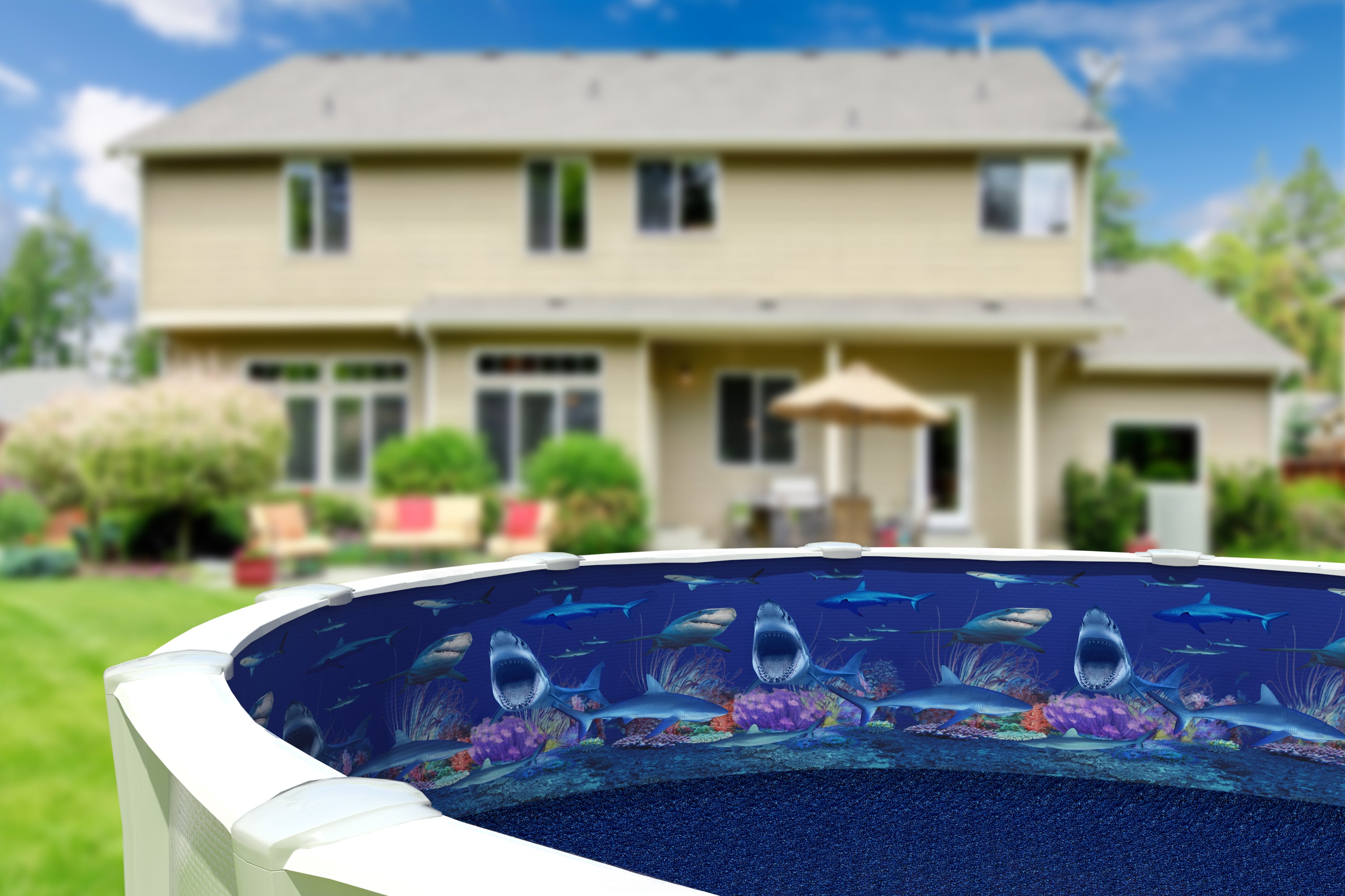 Shark Nation - Round & Oval - Beaded