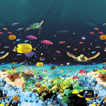 Great Barrier Reef - 16x32 Oval Pool Liner